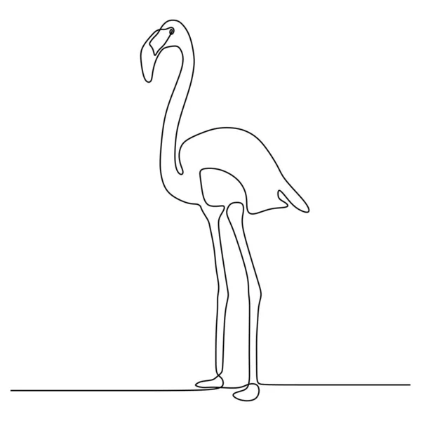 Flamingo ciągnione ilustracja linia Minimal minimalizm projekt rysunek ręka wektor — Wektor stockowy