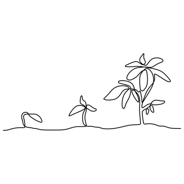 Phase des kontinuierlichen Pflanzenwachstums mit einer Linie, die minimalistische Vektorillustrationen aus Samen, Wurzel und Blättern zeichnet — Stockvektor