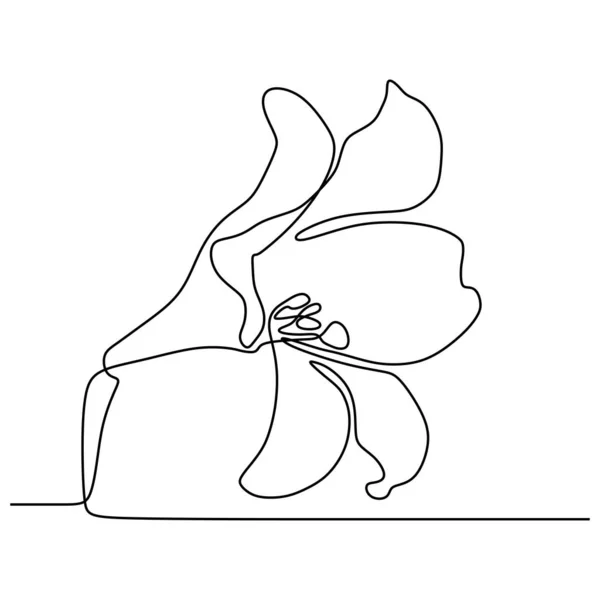 Lily λουλούδι συνεχής μία γραμμή σχέδιο απομονώνεται σε λευκό φόντο διανυσματική απεικόνιση — Διανυσματικό Αρχείο