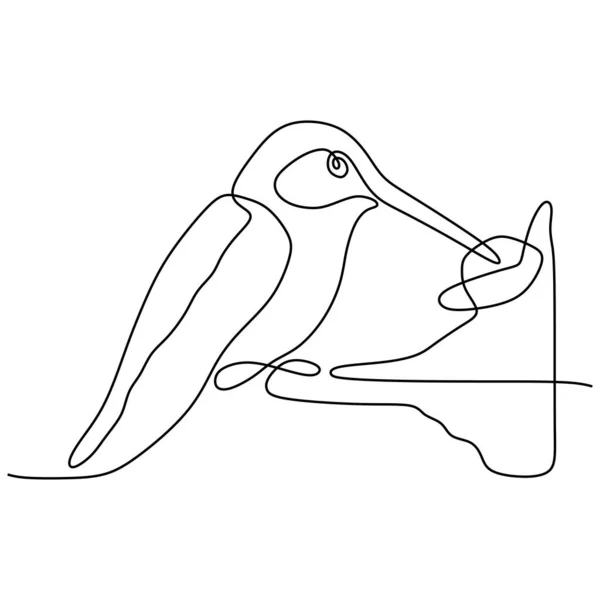Dessin en ligne continue du minimalisme colibri dessin vectoriel illustration — Image vectorielle