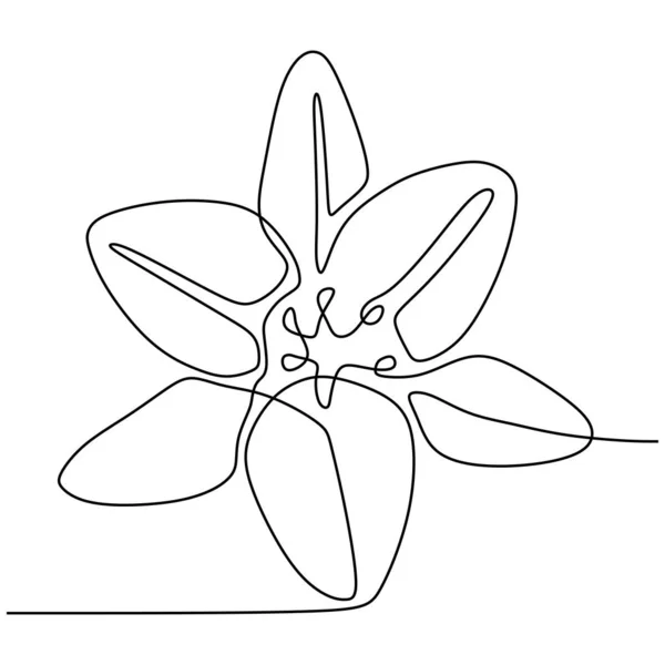 Linha contínua desenho lírio flor planta isolada no fundo branco vetor ilustração —  Vetores de Stock