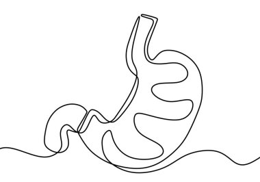 Tek bir çizgi sanat anatomik insan midesi silueti beyaz arka planda izole edildi. Sağlıklı tıp konsepti tasarımı dünya sindirim sağlığı günü bir taslak çizimi vektör çizimi