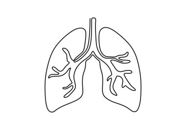 Bir tane aralıksız sanat eseri anatomik insan akciğerleri. Akciğerler ve soluk borusu tek sıra resim çizimi. İç organın el çizimi çizimi. Beyaz arkaplanda anatomi kavramı izole edildi.