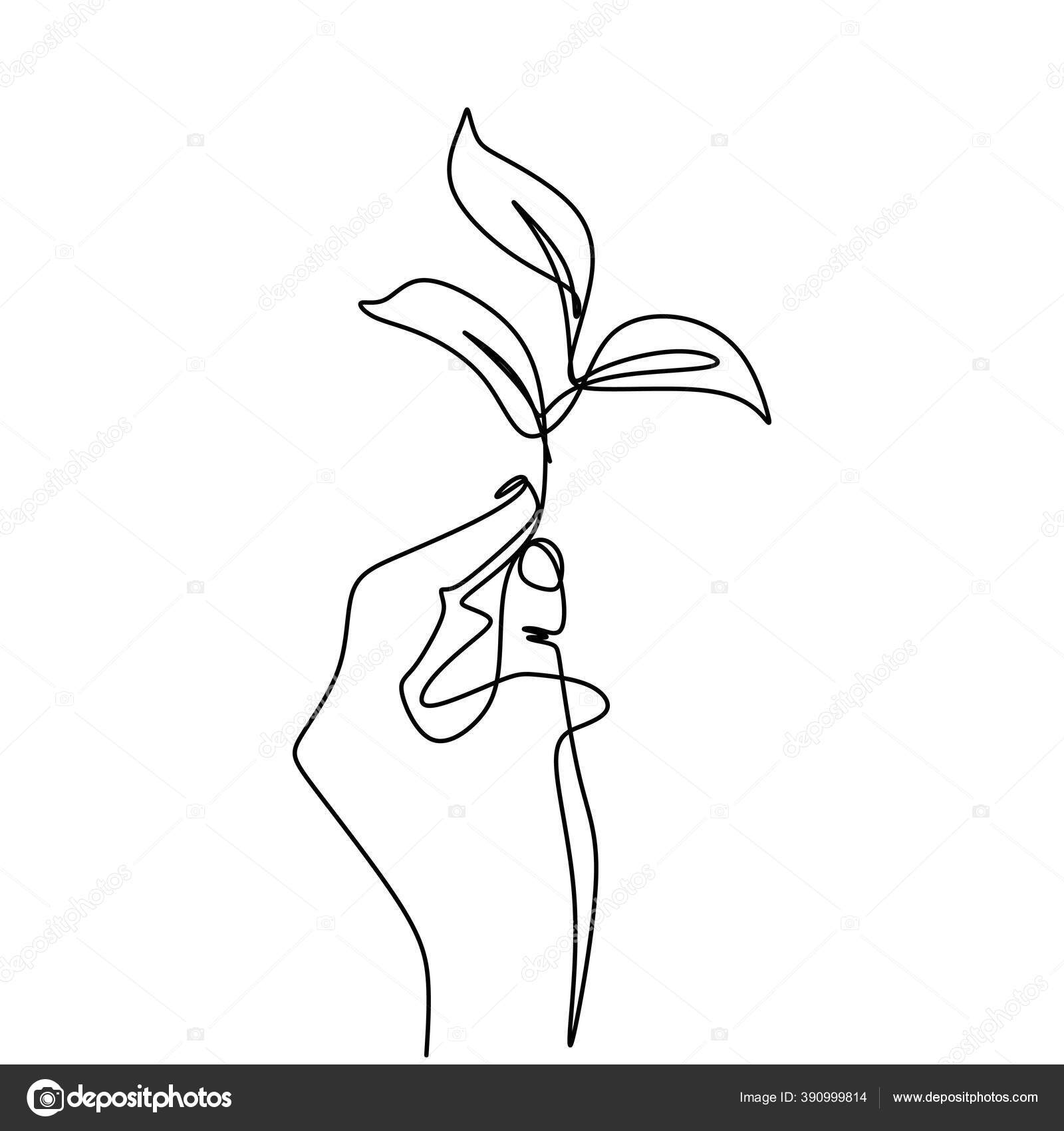 Continuous Line Drawing Hand Growing Plant Hand's Person Hand Vector Image by ©ngupakarti #390999814