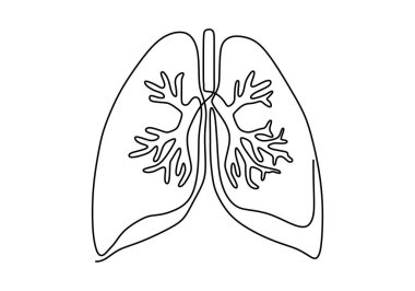 Akciğerler bir çizgi çizimi, Organ, Minimalist tasarımı ile tıbbi bir beyaz arka planda izole.
