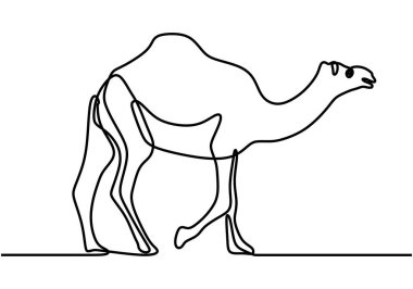 Çölde, minimalist tasarımı tek bir beyaz arka planda izole edilmiş, sürekli yürüyen bir deve çizgisi.