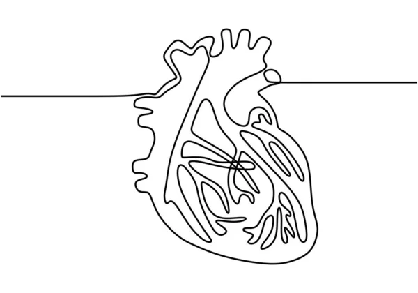 Dessin Continu Une Ligne Coeur Humain Avec Design Minimaliste Isolé — Image vectorielle