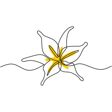 Devamlı çizimler güzel çiçek minimalist tasarımı. Poster için çiçek dekoru. Düzenlenebilir satır. Botanik bitki sanatının el çizimi el çizimi çizimi tasviri