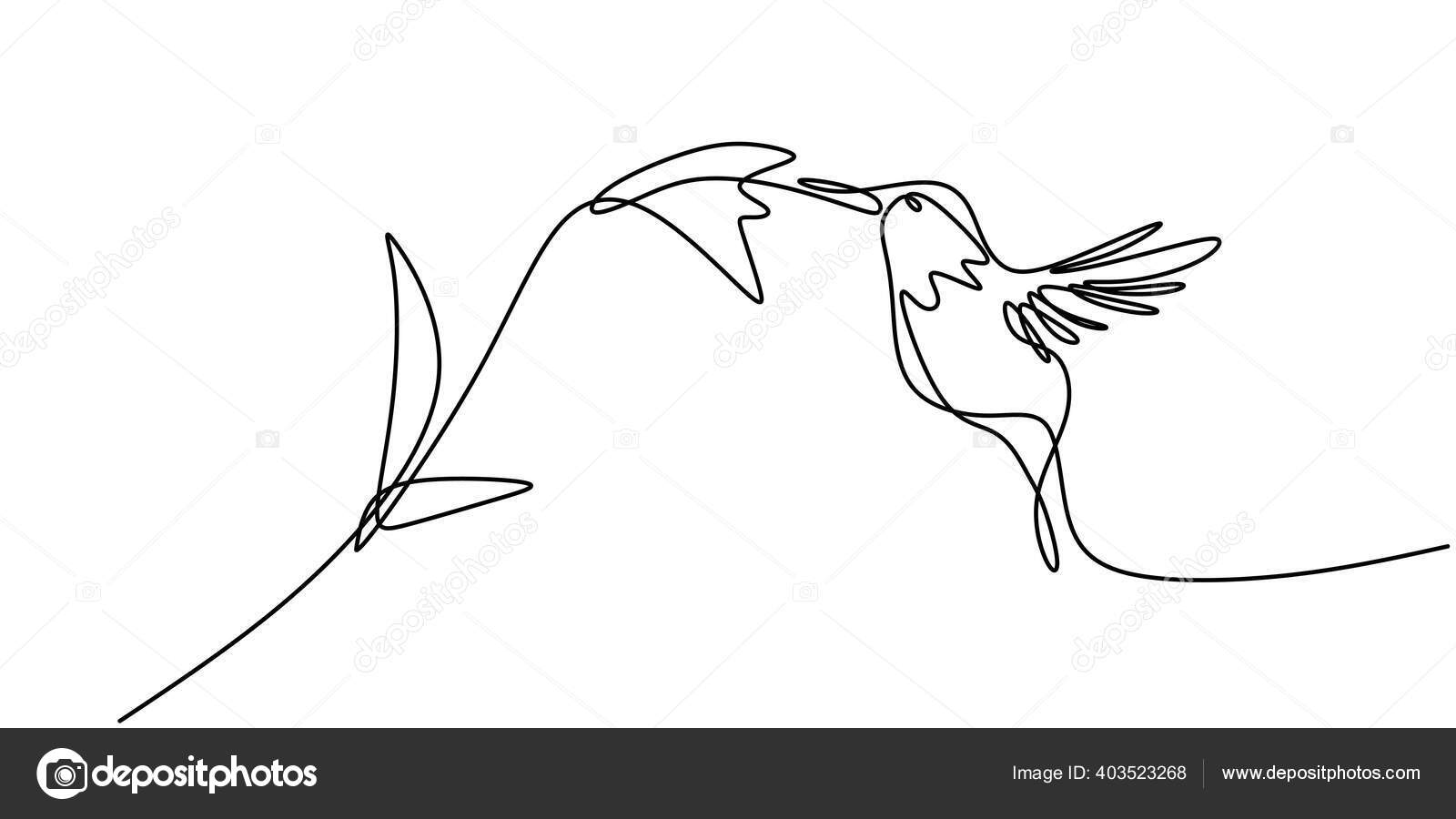 Image vectorielle Dessin Continu D'une Ligne Dessin Minimaliste Colibri Oiseau  Volant Sur par ©ngupakarti - 403523268, image size:1600x900