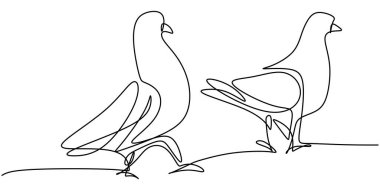 Devamlı güvercin kuşu çizimi. Aşkın güzel güvercinleri. Romantik tema tasarımı. Aşk kuşları birbirine bağlanıyor. Minimalizm hayvan taslak çizimi. Vektör illüstrasyonu