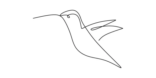 Dessin Ligne Continue Colibri Mignon Ligne Dessinée Main Oiseau Tropical — Image vectorielle