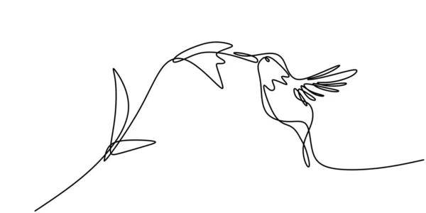 Συνεχής Μονοσήμαντο Σχέδιο Μινιμαλισμού Κολιμπρί Ιπτάμενο Πουλί Λουλούδια Που Απομονώνονται — Διανυσματικό Αρχείο