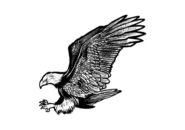 Handgezeichnete Adler Illustration Isoliert Auf Weißem Hintergrund Fliegender Monochromer Adler — Stockvektor