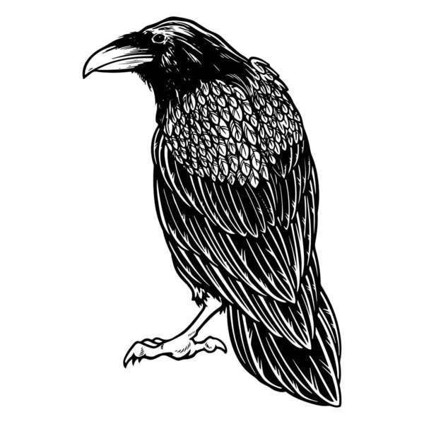 Cuervo Malvado Negro Para Tatuaje Del Tema Halloween Diseño Camiseta — Vector de stock
