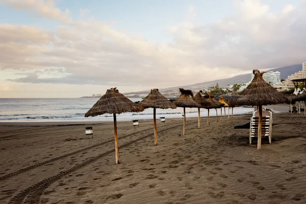 Playa Arena Con Sombrillas Atardecer Isla Tenerife — Foto de Stock