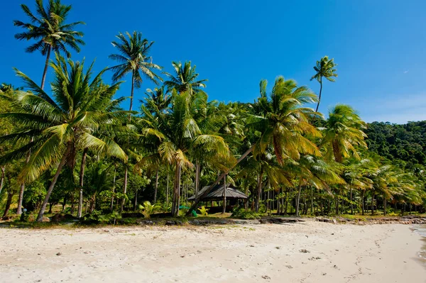 Utsikt Över Typisk Thailändsk Strand — Stockfoto