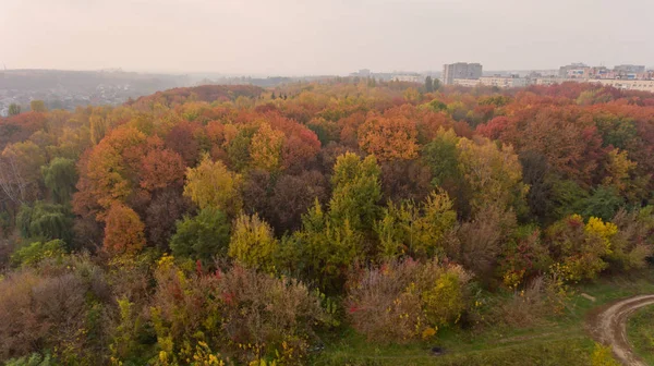 Renkli Sonbahar Şehir Parkı Hava Görünümünü Güzel Bir Doğa Manzarası — Stok fotoğraf