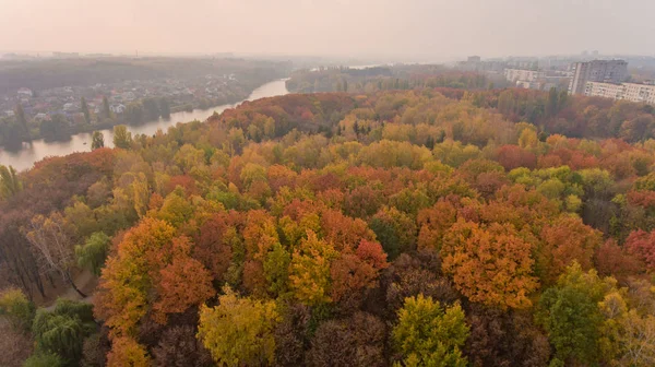 Vista Aérea Del Parque Otoño Cerca Del Lago Hermosa Vista — Foto de Stock