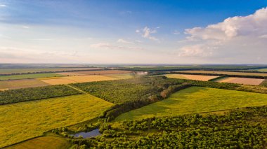 Alanlar, orman, nehir, doğanın güzel bir manzara havadan görünümü.