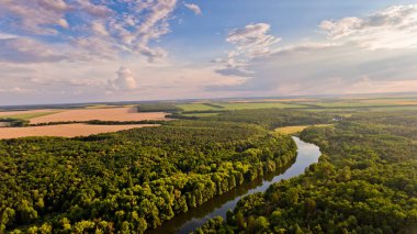 Alanlar, orman, nehir, doğanın güzel bir manzara havadan görünümü.