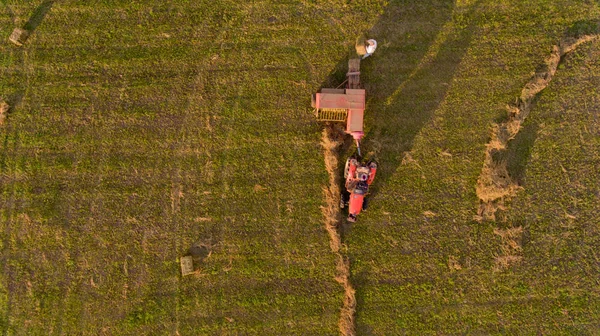 Blick Von Oben Auf Traktor Sammelt Heu Vom Feld Luftbild — Stockfoto