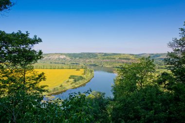Doğanın güzel manzara. Mavi gökyüzü, sarı alan.