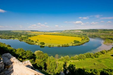 Doğanın güzel manzara. Mavi gökyüzü, sarı alan.