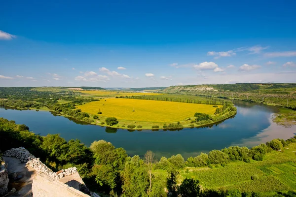 Doğanın güzel manzara. Mavi gökyüzü, sarı alan.