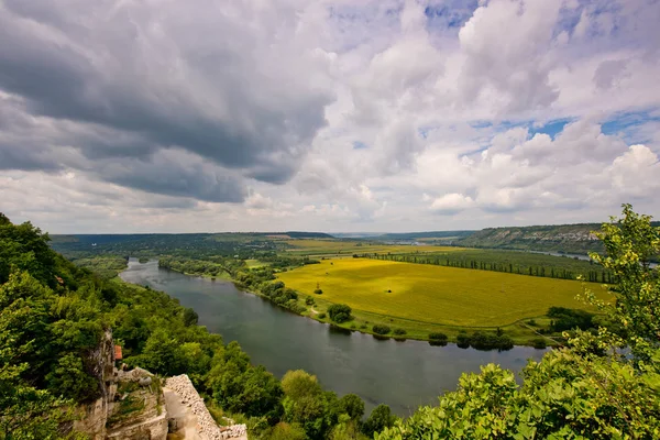 Prachtig Uitzicht Van Natuur Blauwe Hemel Yeloww Veld — Stockfoto