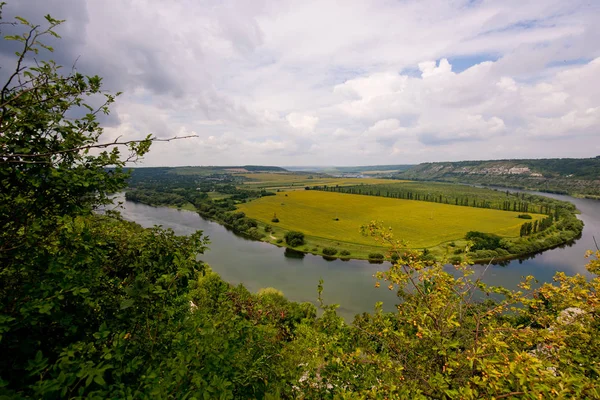 Doğanın güzel manzara. Mavi gökyüzü, sarı alan.