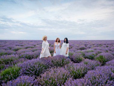 Farklı saç üç genç kız beyaz elbiseler içinde birlikte poz lavanta alanında renk.