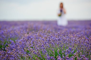 Yumuşak odak çiçek, güzel lavanta çiçek çiçeklenme. Odak içinde arka planda bir buket ile kız.