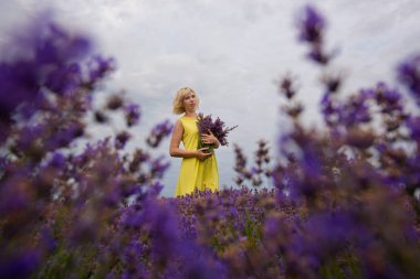 Beyaz elbiseli Genç kız lavanta alana poz.