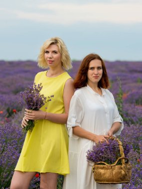 Farklı saç iki genç kızla birlikte lavanta alana poz elbiseler, beyaz ve sarı renk.