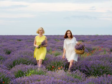 Farklı saç iki genç kızla birlikte lavanta alana poz elbiseler, beyaz ve sarı renk.