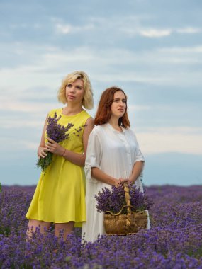 Farklı saç iki genç kızla birlikte lavanta alana poz elbiseler, beyaz ve sarı renk.