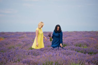 Farklı saç iki genç kızla birlikte lavanta alana poz elbiseler, mavi ve sarı renk.
