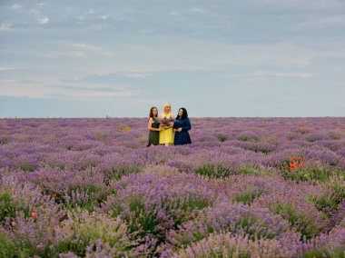 Birlikte poz lavanta alanında farklı elbiseler içinde üç genç kızlar ile farklı saç renk.