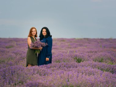 Farklı saç iki genç kızla birlikte poz lavanta alanında mavi ve yeşil elbiseler içinde renk.