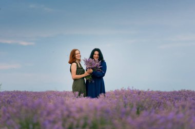 Farklı saç iki genç kızla birlikte poz lavanta alanında mavi ve yeşil elbiseler içinde renk.