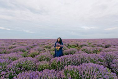 Mavi elbiseli Genç kız lavanta alana poz.