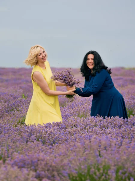 Farklı saç iki genç kızla birlikte lavanta alana poz elbiseler, mavi ve sarı renk.