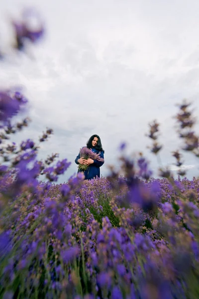 Mavi elbiseli Genç kız lavanta alana poz.