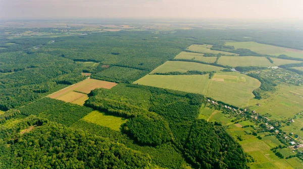 Vista Aérea Los Bosques Campos Verdes Frescos — Foto de Stock