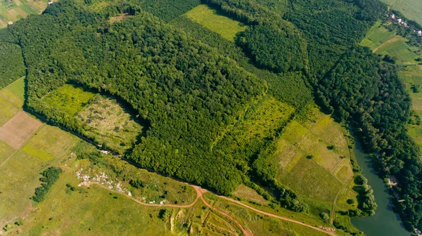 Vista Aérea Los Bosques Campos Verdes Frescos — Foto de Stock