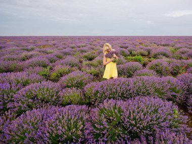 Lavanta alana poz, elinde bir buket sarı elbiseli Genç kız.