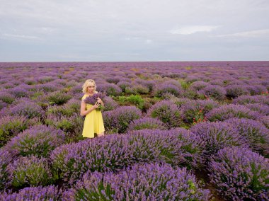 Lavanta alana poz, elinde bir buket sarı elbiseli Genç kız.