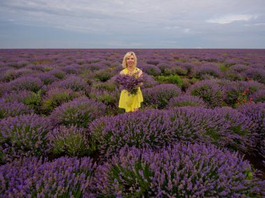 Lavanta alana poz, elinde bir buket sarı elbiseli Genç kız.