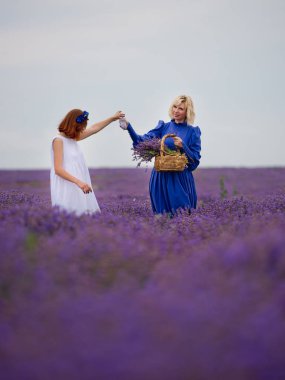 Mavi ve beyaz iki kız Giydir lavanta alana poz.