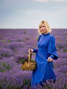 Mavi elbiseli Genç kız lavanta alana poz.